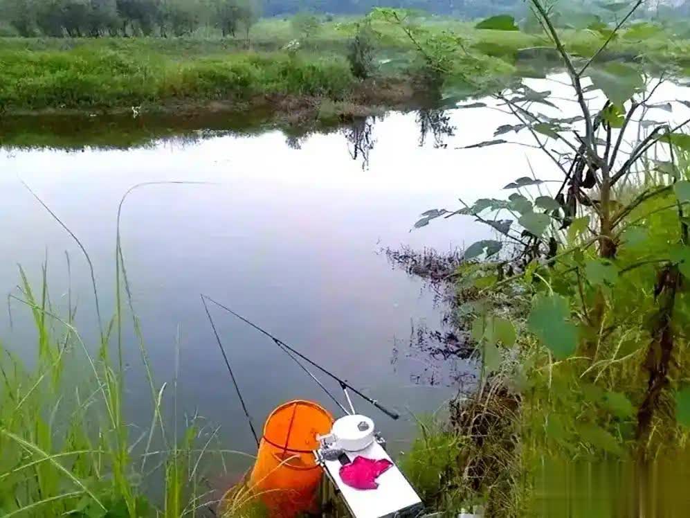 近环境的衣, 狡猾的大鲤, src