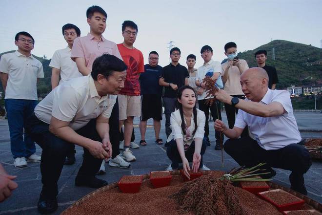 对局中, 仁怀红, 军王世一八