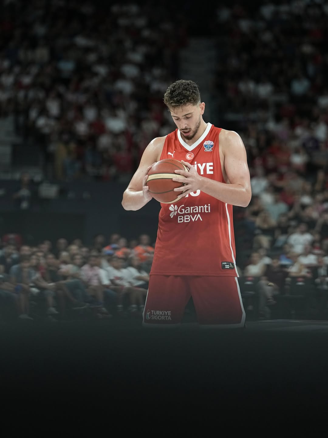 国家血脉, 申京Ins