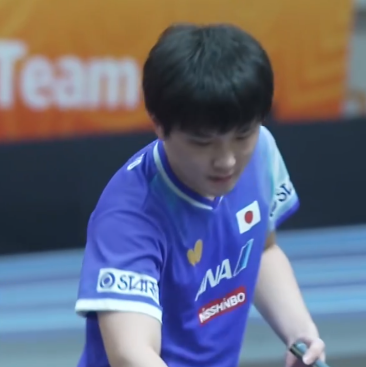 王楚钦追到 王楚钦追到