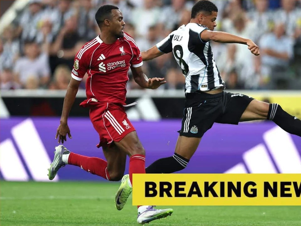 中后卫已不 中后卫已不